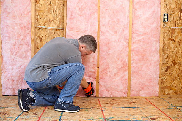 Best Commercial Insulation Services  in Vernon, WI